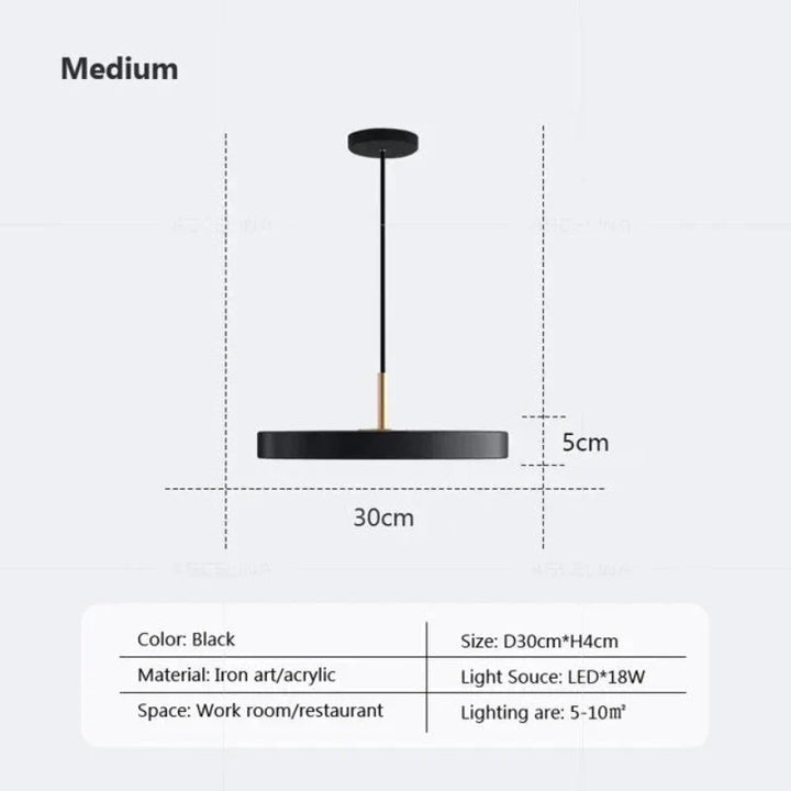 Lisslune | Slim Disc Pendant Light