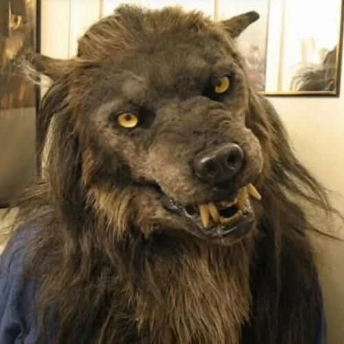 Lisslune | Realistic Werewolf Mask for Halloween & Cosplay