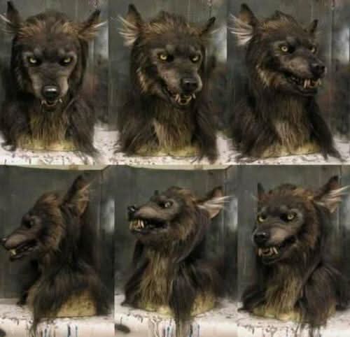Lisslune | Realistic Werewolf Mask for Halloween & Cosplay