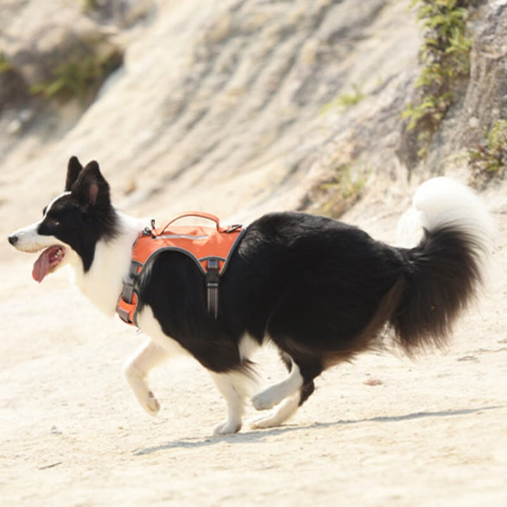 Lisslune | Multifunctional explosion-proof anti-pull harness for medium to large dogs harness