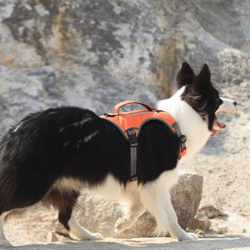 Lisslune | Multifunctional explosion-proof anti-pull harness for medium to large dogs harness