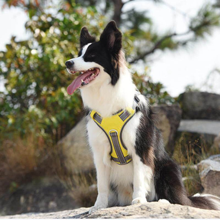 Lisslune | Multifunctional explosion-proof anti-pull harness for medium to large dogs harness
