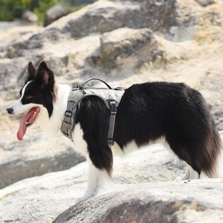 Lisslune | Multifunctional explosion-proof anti-pull harness for medium to large dogs harness