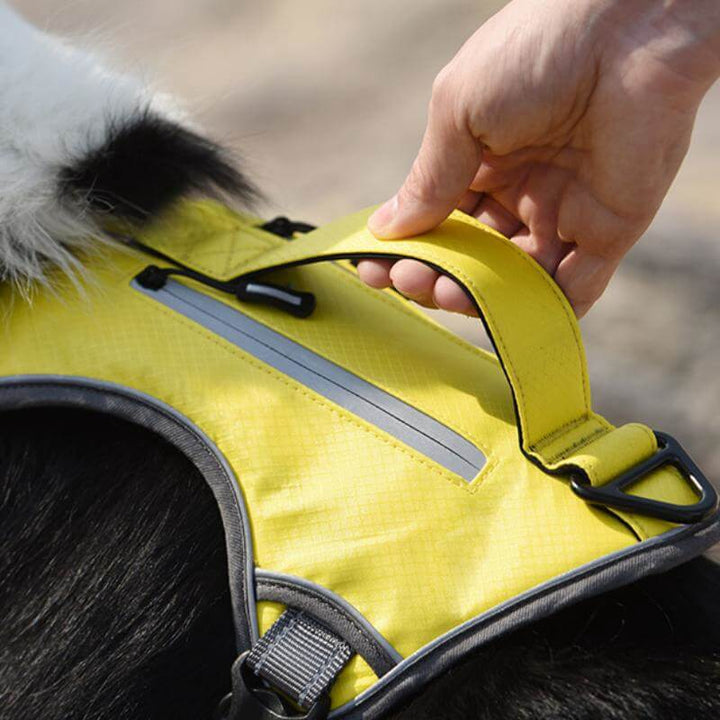 Lisslune | Multifunctional explosion-proof anti-pull harness for medium to large dogs harness