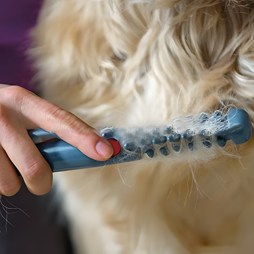 Lisslune | No more knots and tangles for your pet