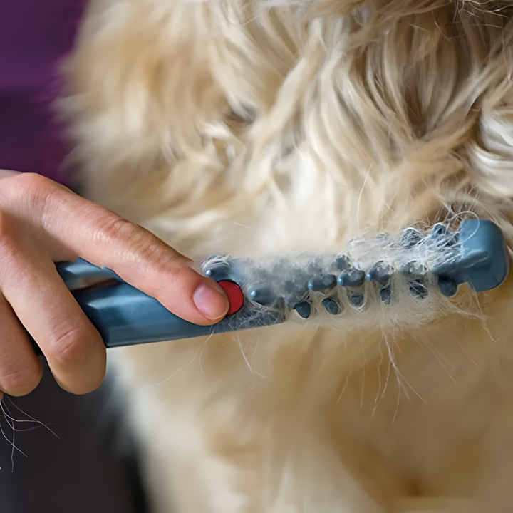 Lisslune | No more knots and tangles for your pet