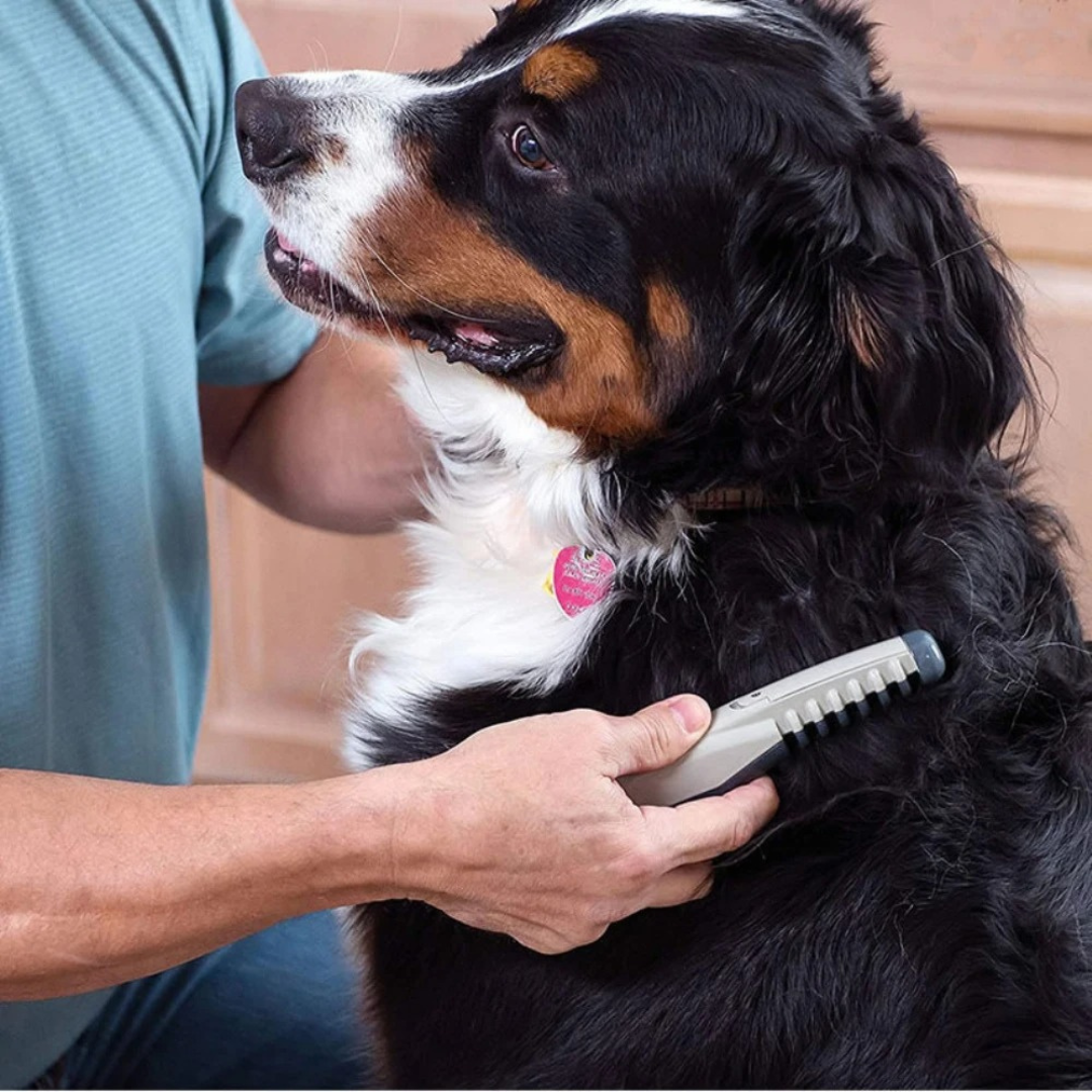 Lisslune | No more knots and tangles for your pet