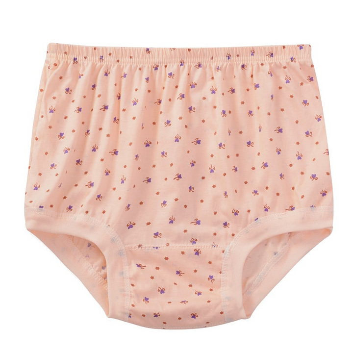 Lisslune | New High-Waisted Women's Leak Proof Slip