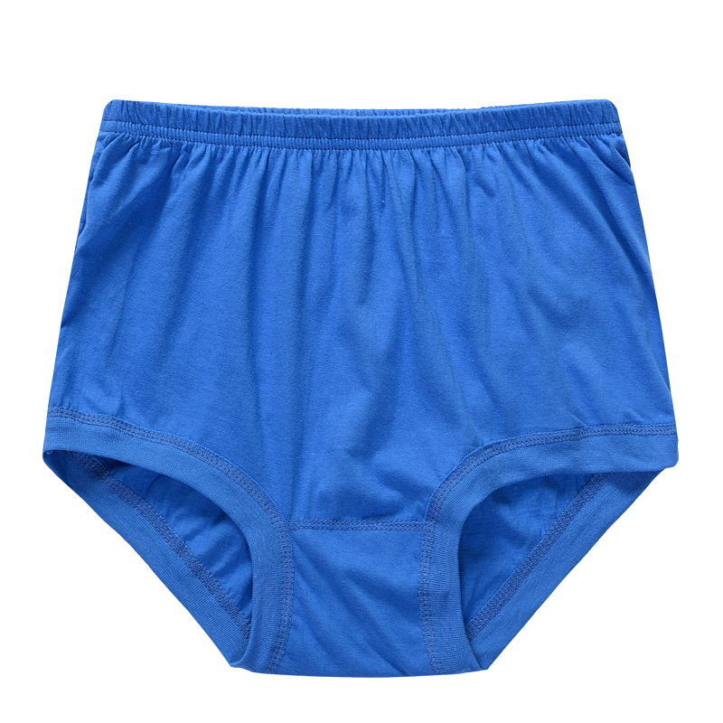 Lisslune | New High-Waisted Women's Leak Proof Slip