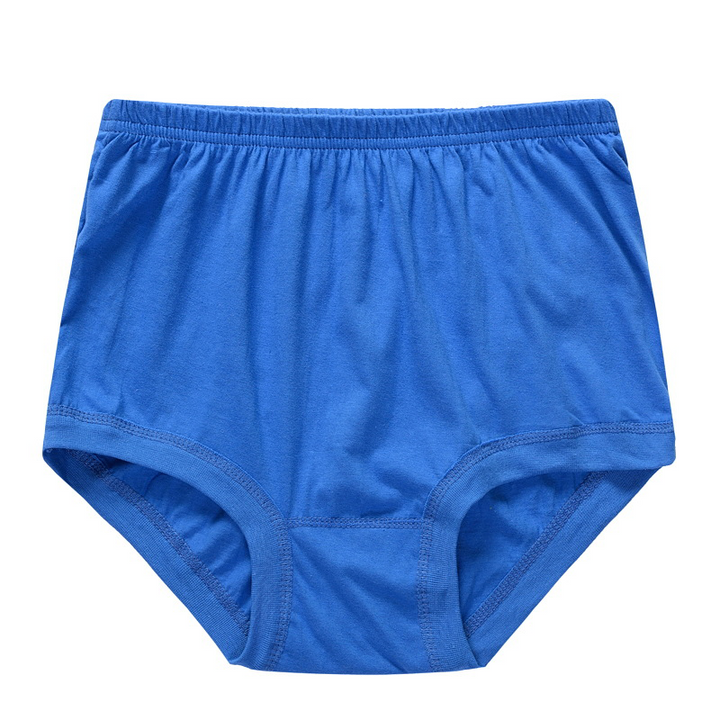 Lisslune | New High-Waisted Women's Leak Proof Slip