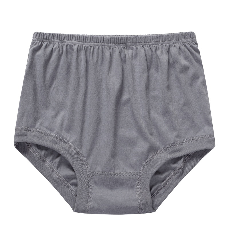 Lisslune | New High-Waisted Women's Leak Proof Slip