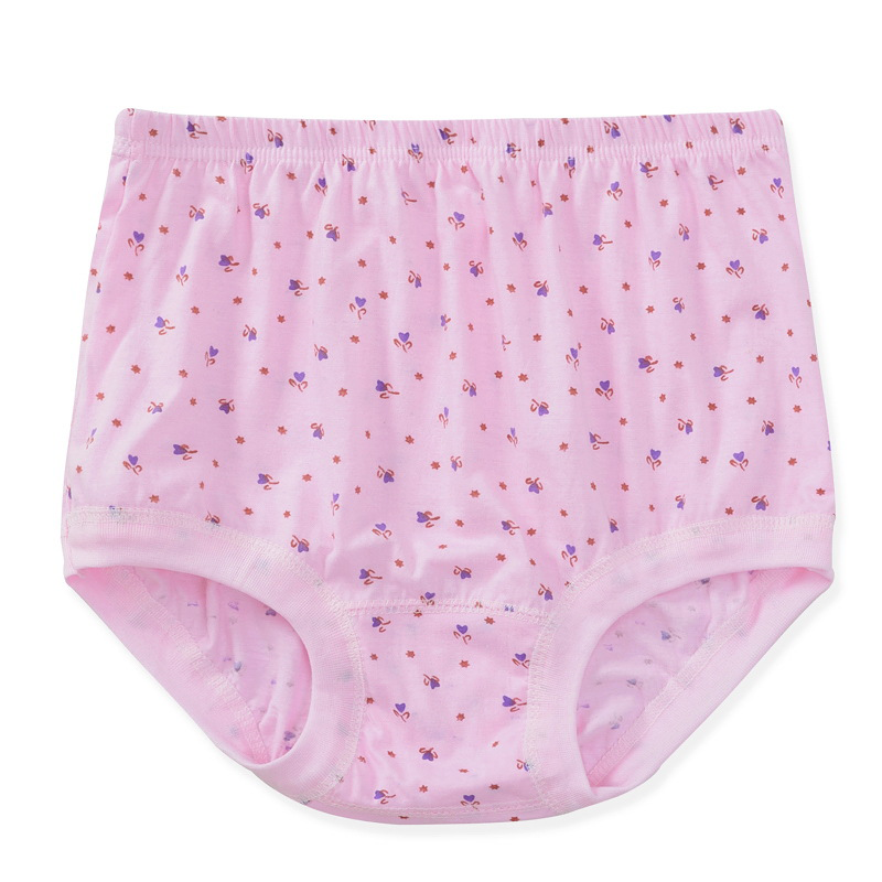 Lisslune | New High-Waisted Women's Leak Proof Slip