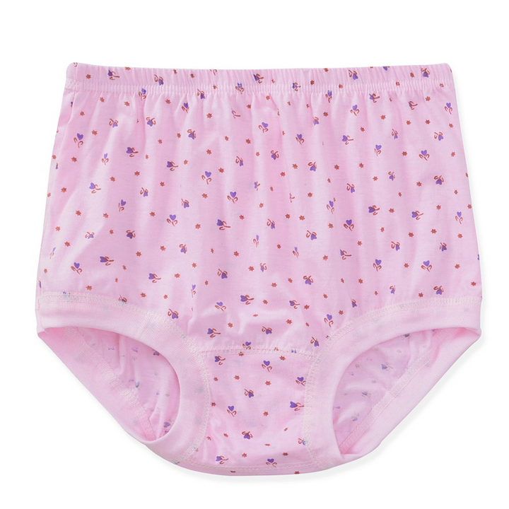Lisslune | New High-Waisted Women's Leak Proof Slip