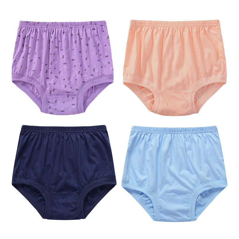 Lisslune | New High-Waisted Women's Leak Proof Slip