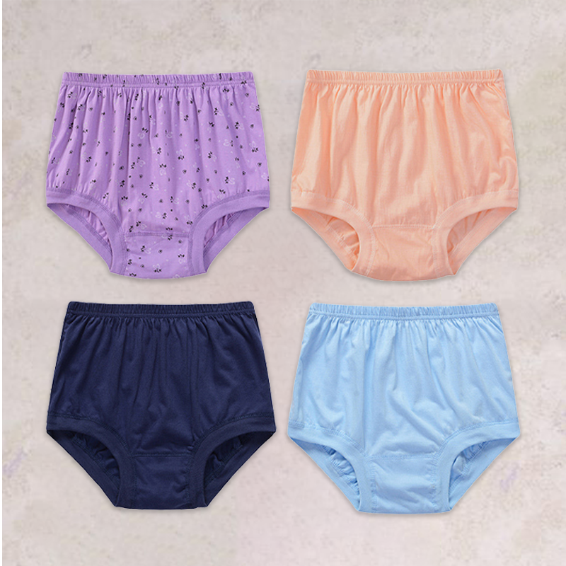 Lisslune | New High-Waisted Women's Leak Proof Slip