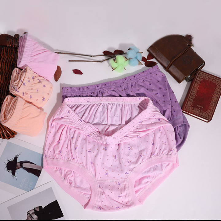 Lisslune | New High-Waisted Women's Leak Proof Slip