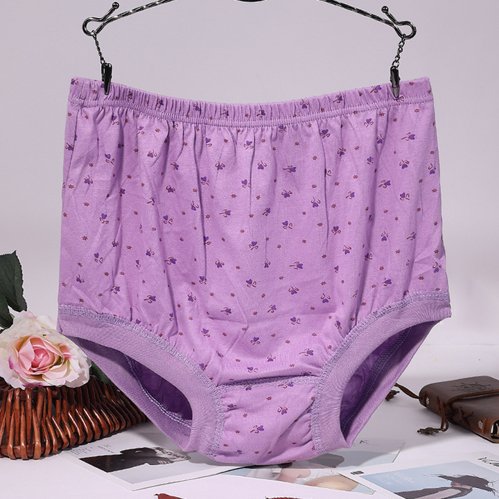 Lisslune | New High-Waisted Women's Leak Proof Slip