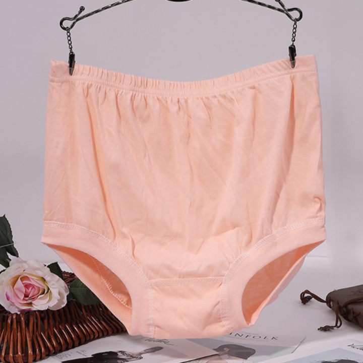 Lisslune | New High-Waisted Women's Leak Proof Slip