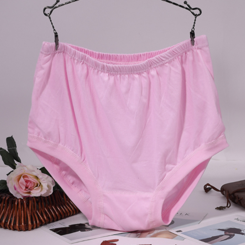 Lisslune | New High-Waisted Women's Leak Proof Slip