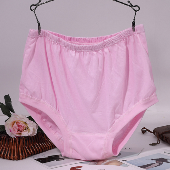 Lisslune | New High-Waisted Women's Leak Proof Slip