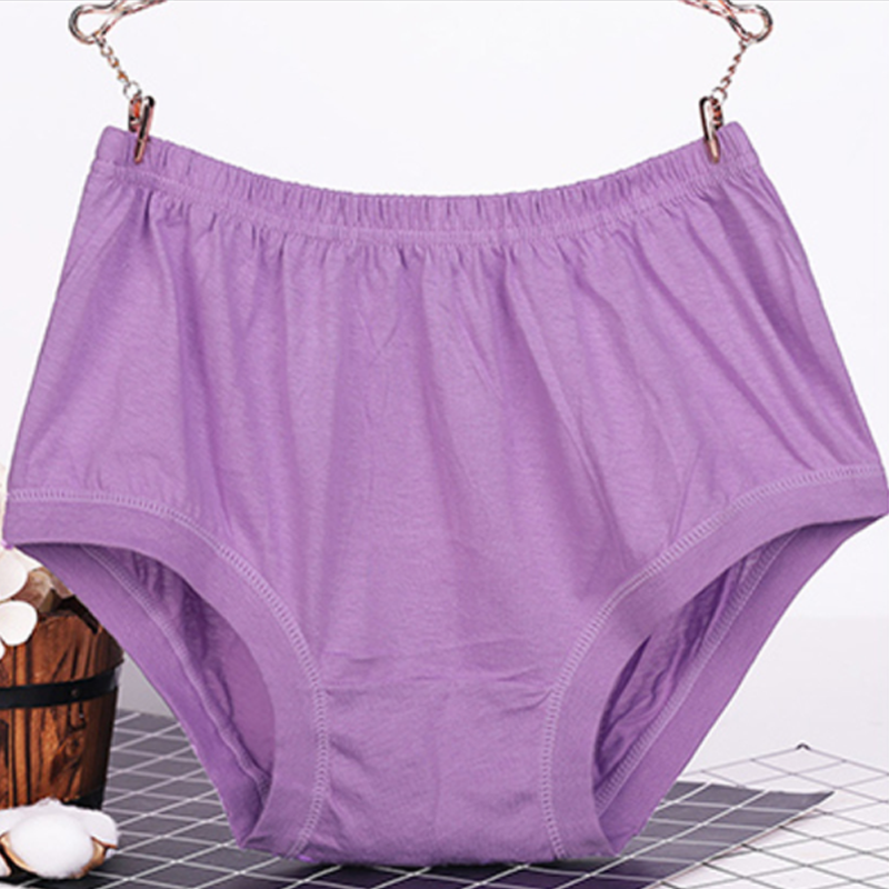 Lisslune | New High-Waisted Women's Leak Proof Slip