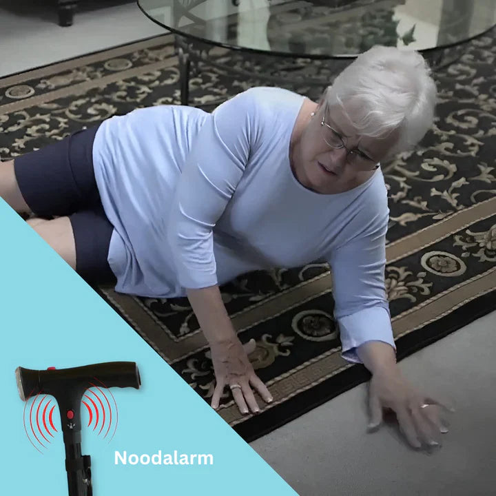 Lisslune | Stable Walking Aid | Discreet Support for Independent Mobility