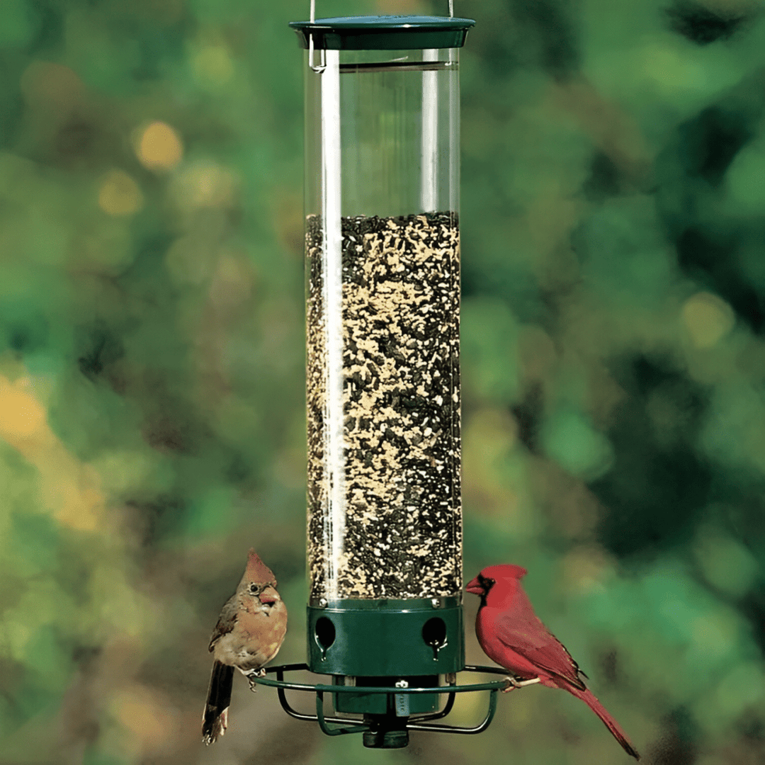 Lisslune | Squirrel-Proof Birdhouse with weight-controlled feeder
