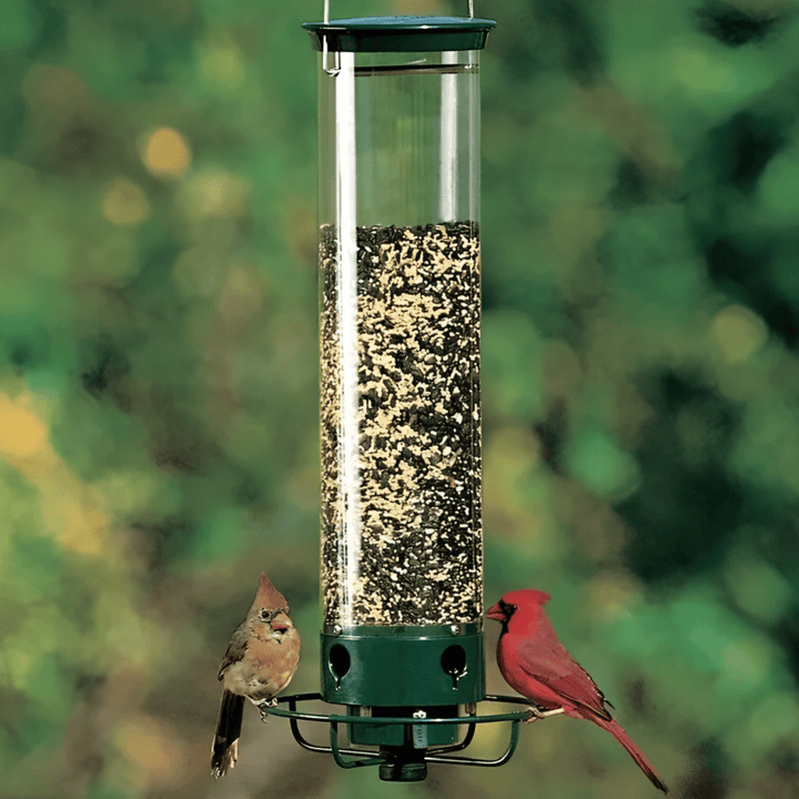 Lisslune | Squirrel-Proof Birdhouse with weight-controlled feeder