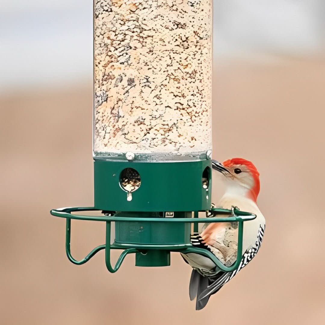 Lisslune | Squirrel-Proof Birdhouse with weight-controlled feeder