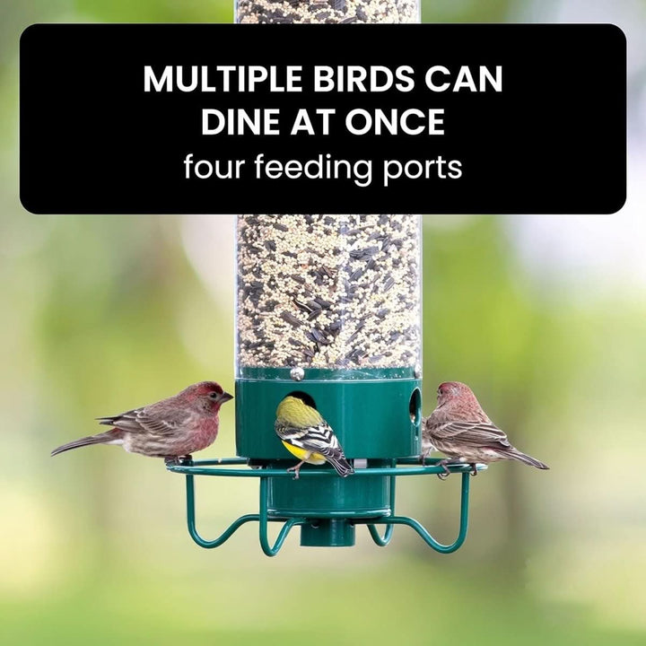 Lisslune | Squirrel-Proof Birdhouse with weight-controlled feeder