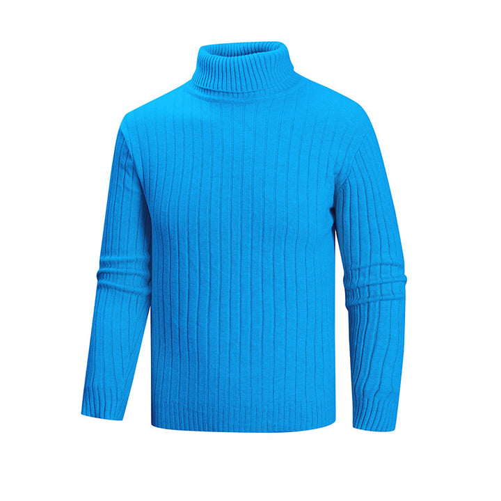 Men's elegant sweater with high collar and fine ribbed structure Lisslune