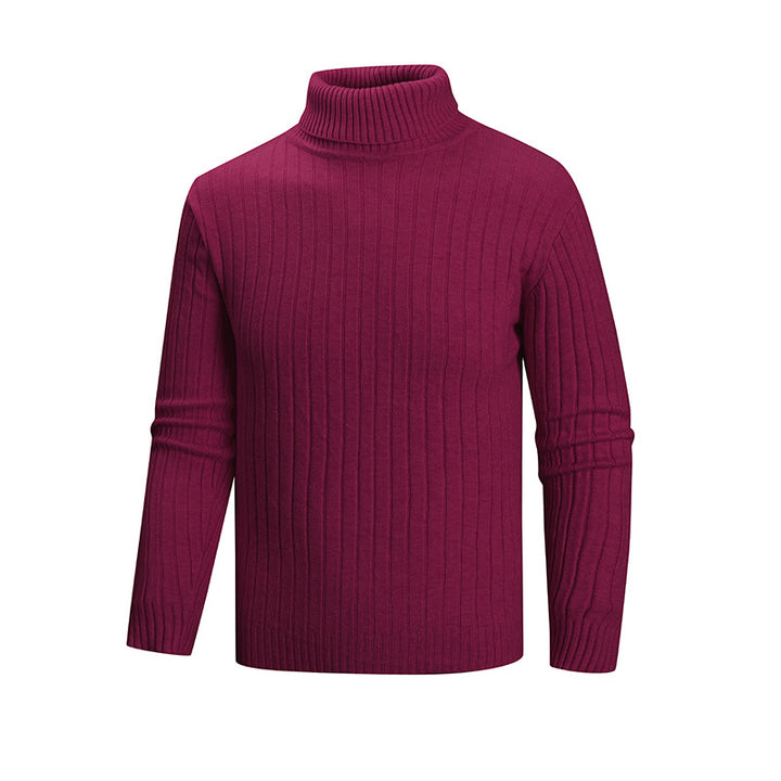 Men's elegant sweater with high collar and fine ribbed structure Lisslune