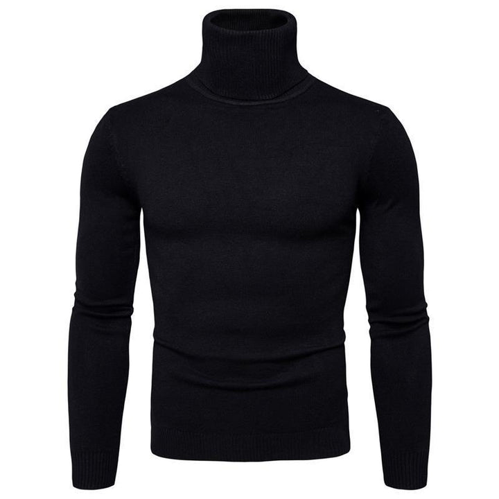 Men's turtleneck sweater made of fine merino wool Lisslune