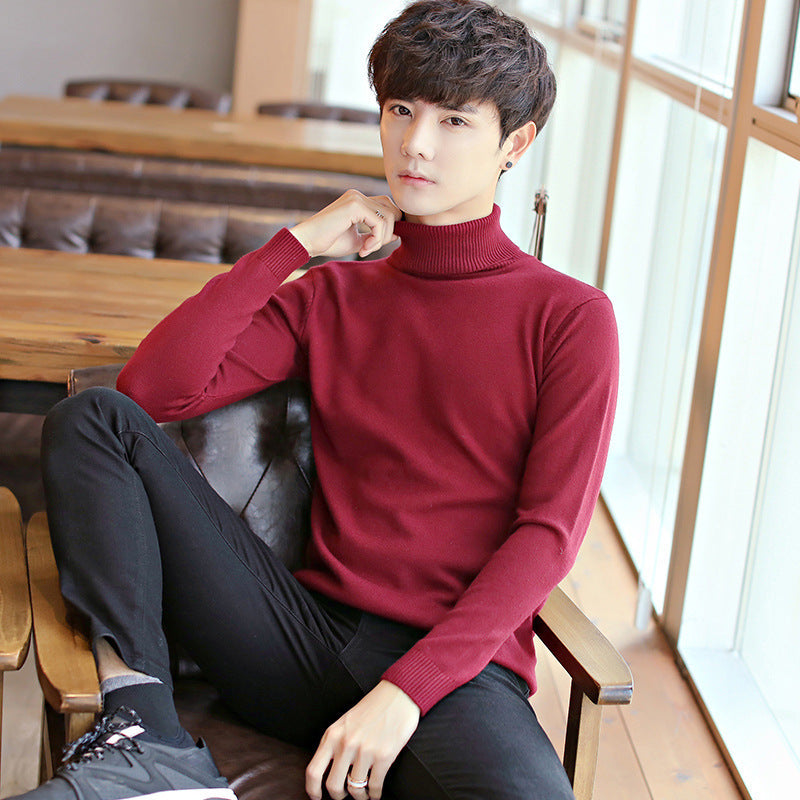 Men's Elegant Turtleneck Sweater made of fine knit Lisslune