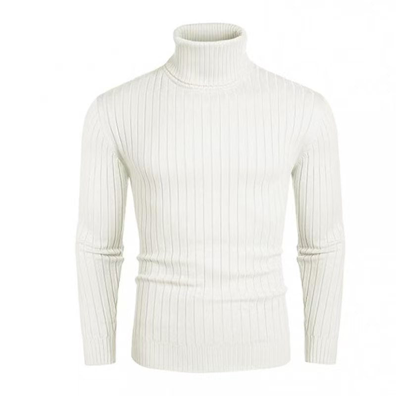 Men's High-Quality Roll Neck Sweater with Fine Rib Structure Lisslune