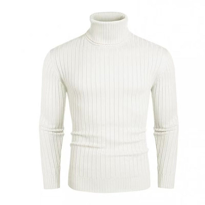 Men's High-Quality Roll Neck Sweater with Fine Rib Structure Lisslune