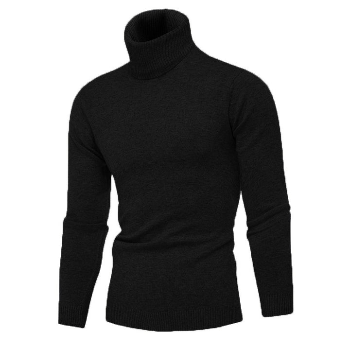 Men's turtleneck sweater made of fine cotton with a fitted cut Lisslune