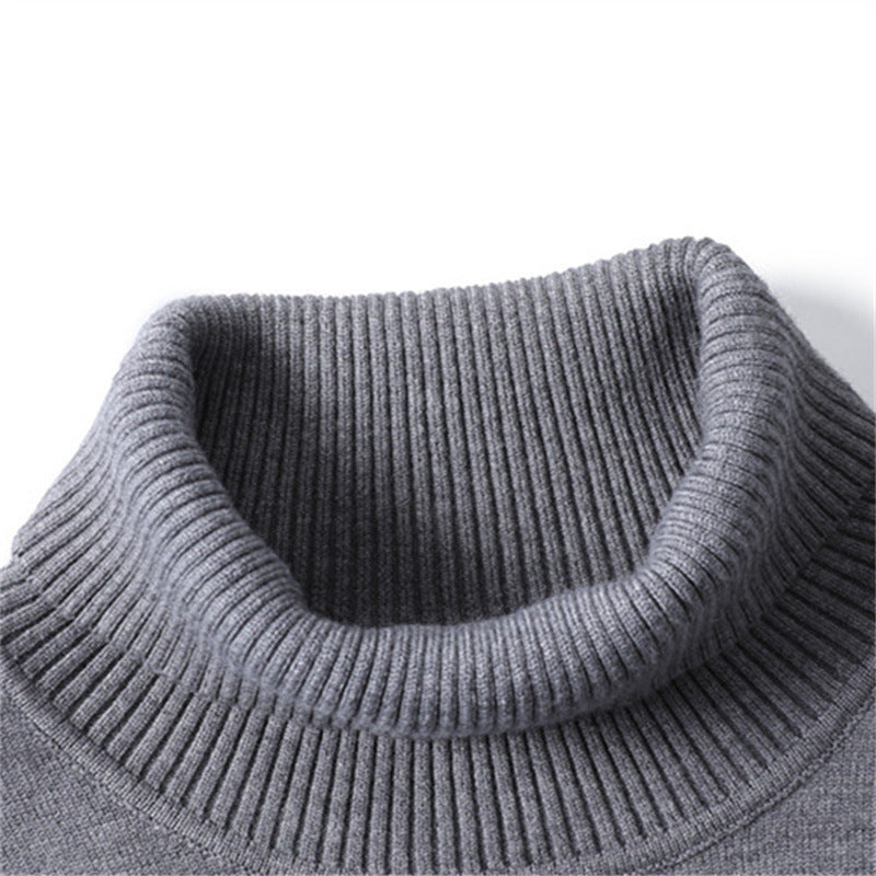 Men's chunky turtleneck sweater made of warming material with a textured surface Lisslune