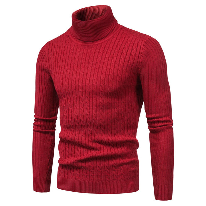 Men's comfortable turtleneck sweater Lisslune