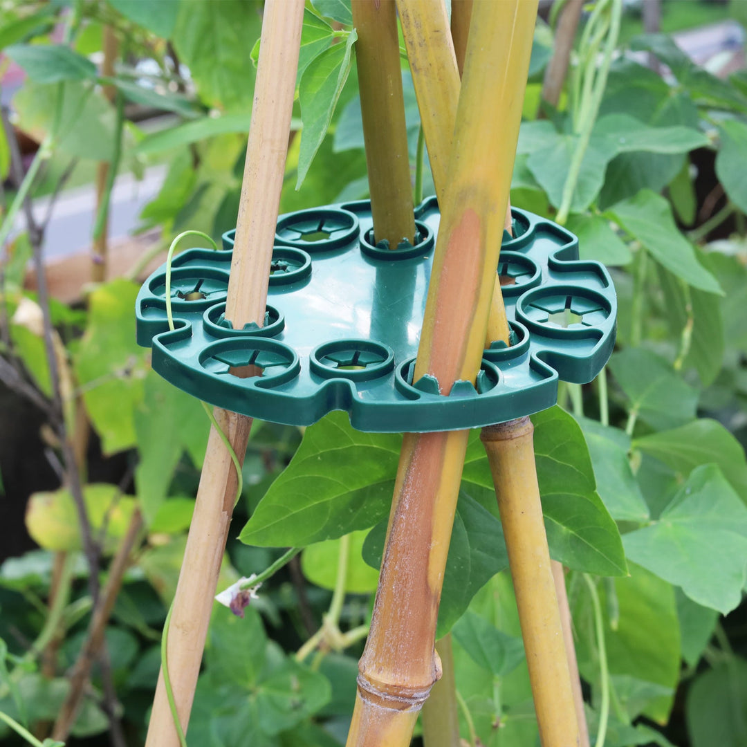 Lisslune | Plant support ring for bamboo poles – Stable climbing aid for tomatoes and climbing plants