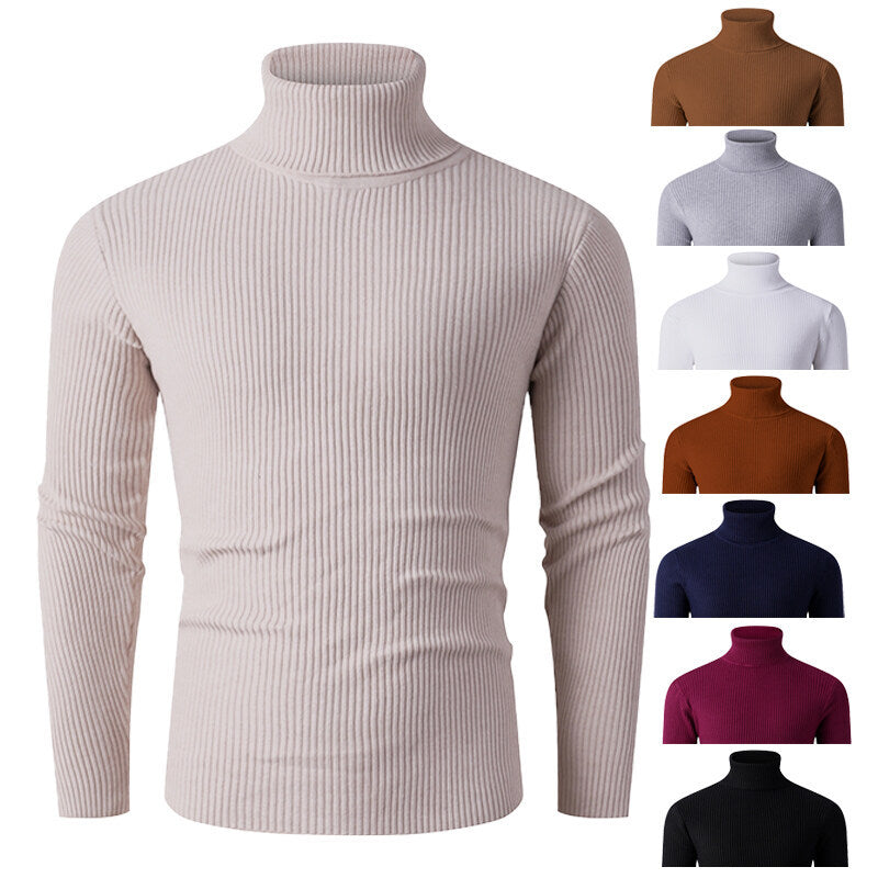 Men's ribbed knit turtleneck sweater Lisslune