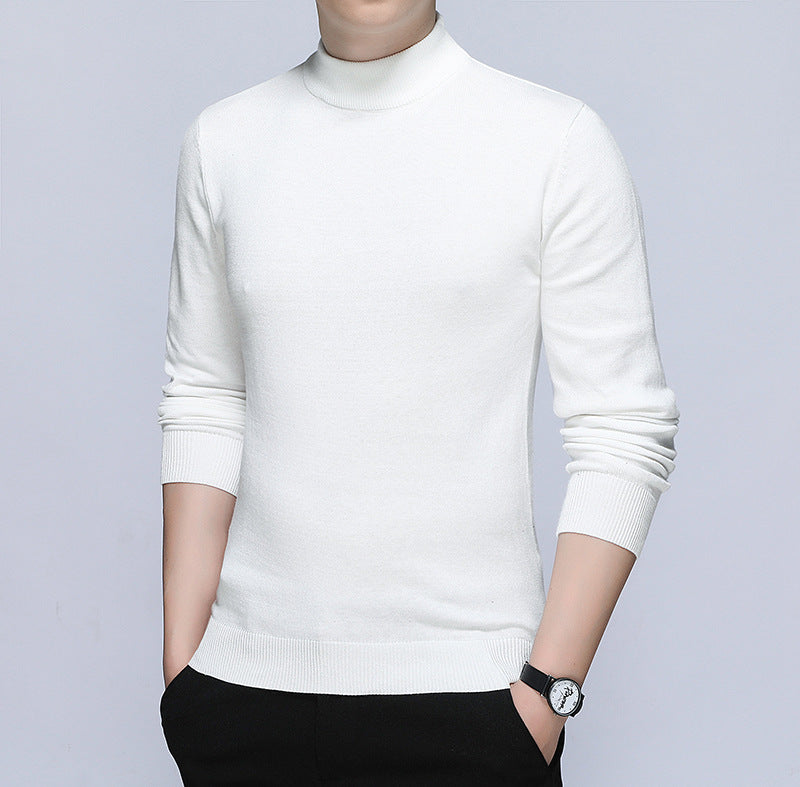 Men's stylish turtleneck sweater made of soft cotton blend Lisslune