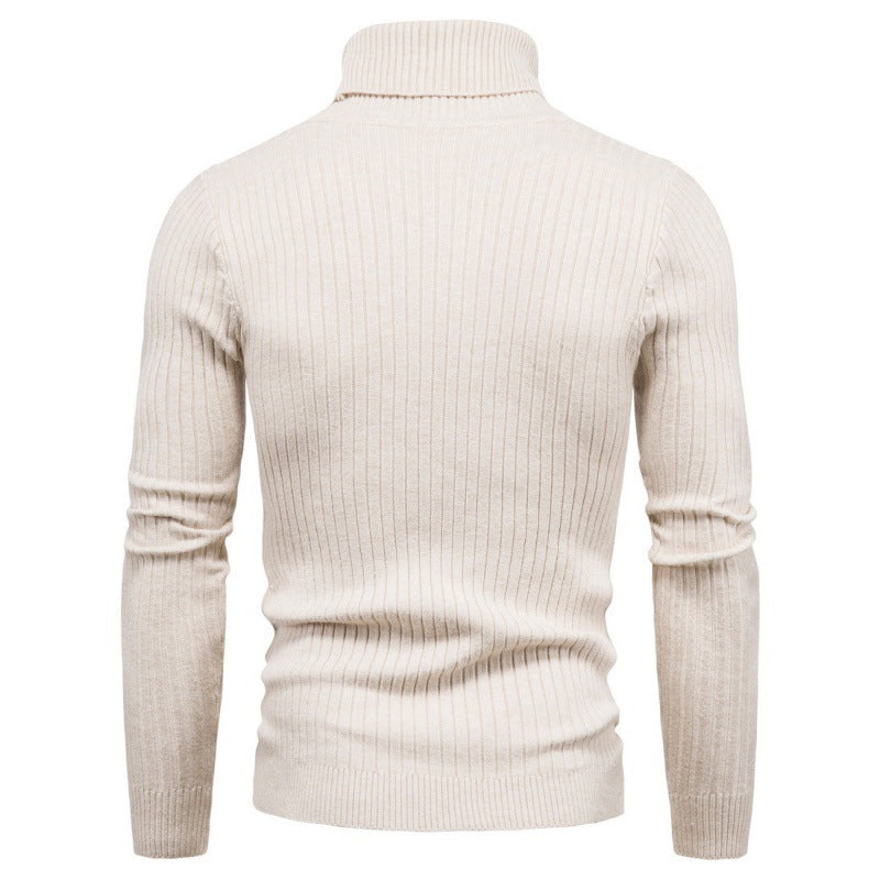Men's turtleneck sweater with cable pattern Lisslune