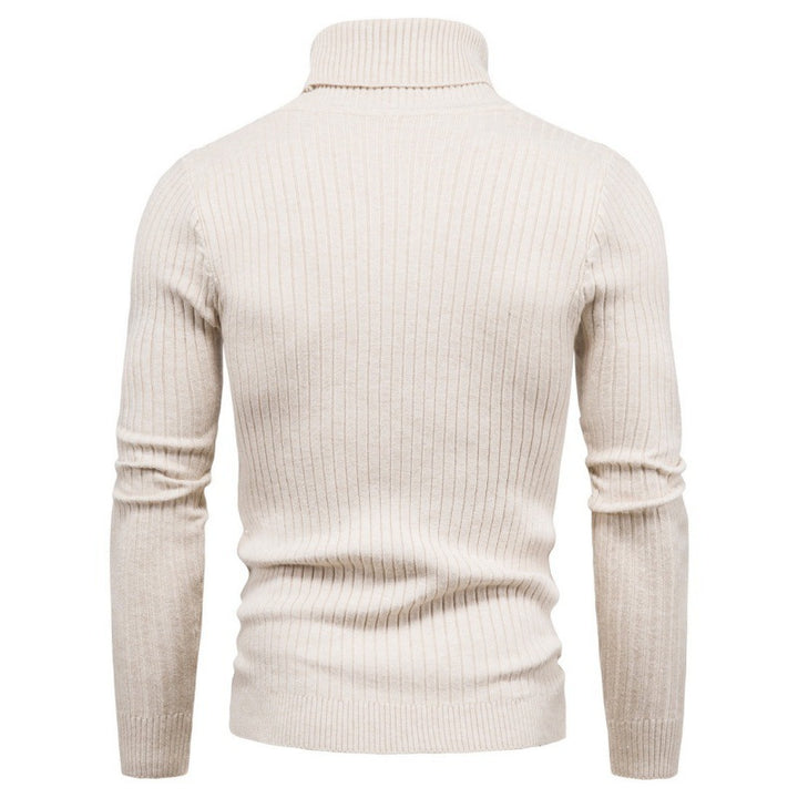 Men's turtleneck sweater with cable pattern Lisslune