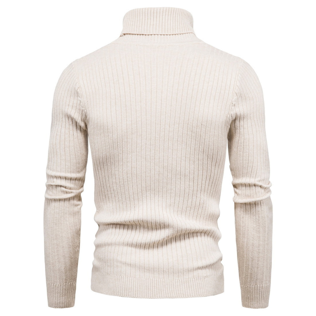 Men's comfortable turtleneck sweater Lisslune