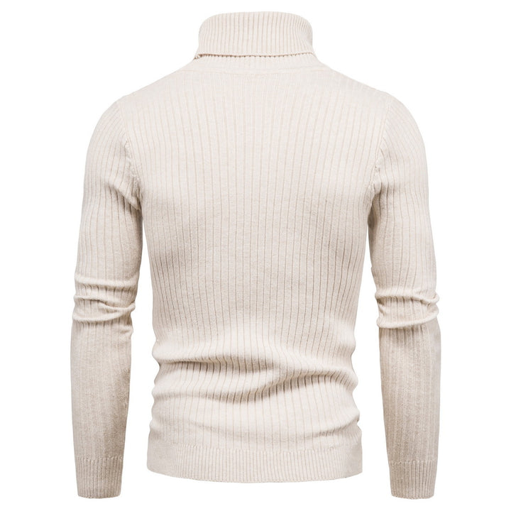 Men's comfortable turtleneck sweater Lisslune