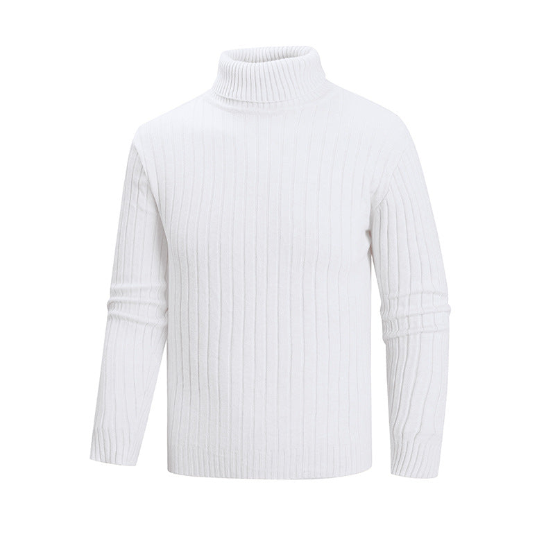 Men's elegant sweater with high collar and fine ribbed structure Lisslune