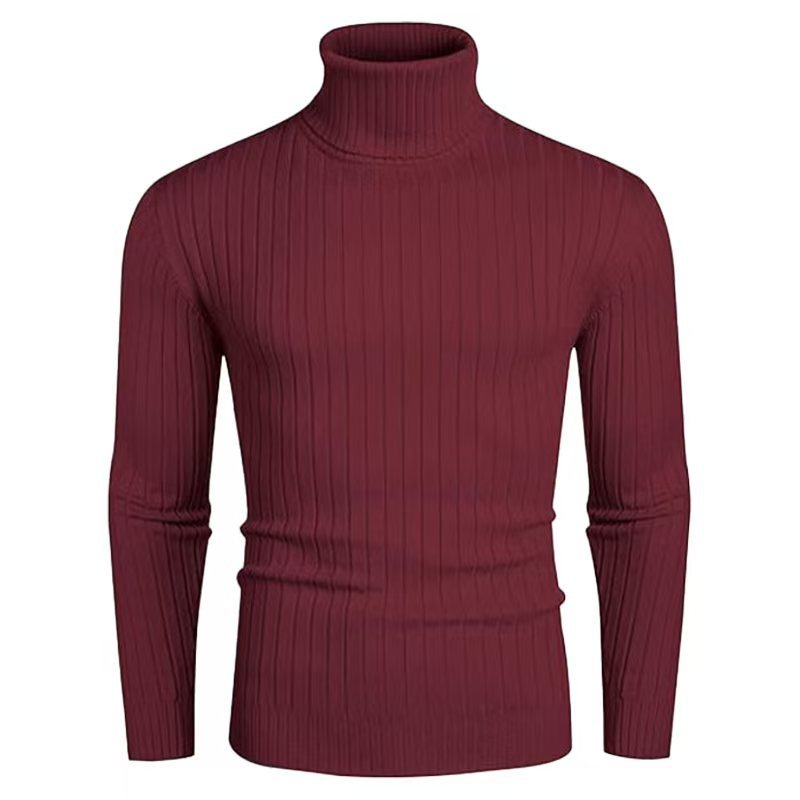 Men's High-Quality Roll Neck Sweater with Fine Rib Structure Lisslune