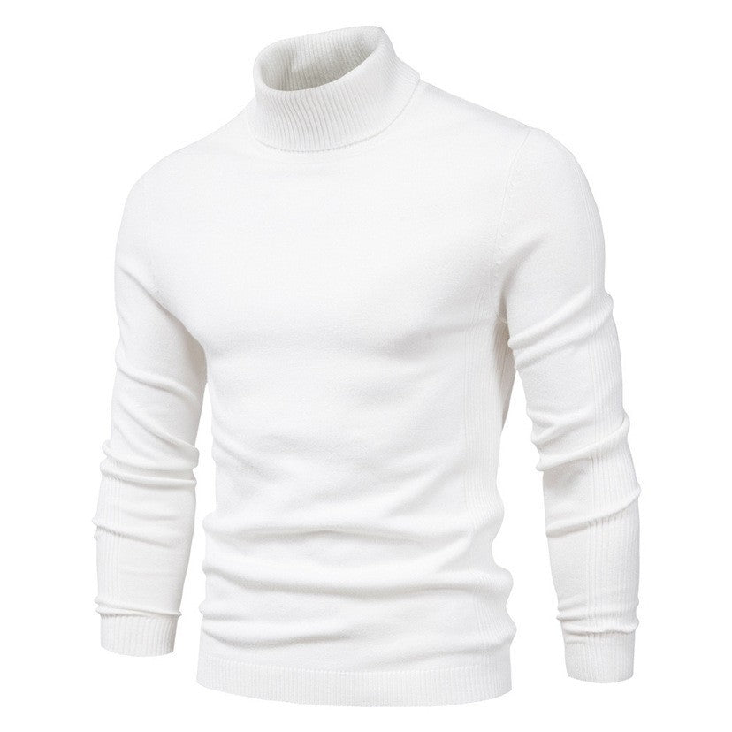 Men's stylish turtleneck sweater made of fine Merino wool Lisslune