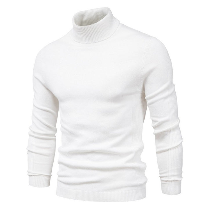 Men's stylish turtleneck sweater made of fine Merino wool Lisslune